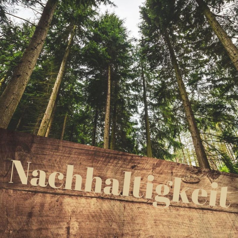 Über Uns - Möbel- und Bautischlerei Thomas Wähner